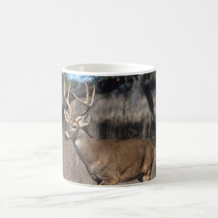 Weiße Schwanz-Rotwild Kaffeetasse