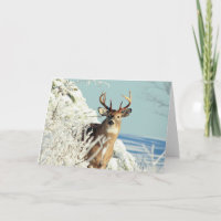Weiße Schwänze Hirsch Big Buck Winterlandschaft