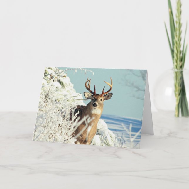 Weiße Schwänze Hirsch Big Buck Winterlandschaft Karte (Vorderseite)