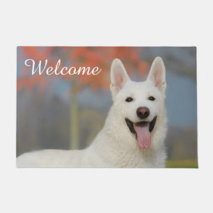 Weiße Schweizer Hirte Hund Niedliches Foto _ Will Fußmatte