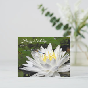 Weiße Seerose, Blaue Libelle Geburtstag Postkarte