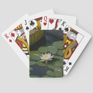 Weiße Seerose Lotus Spielkarten