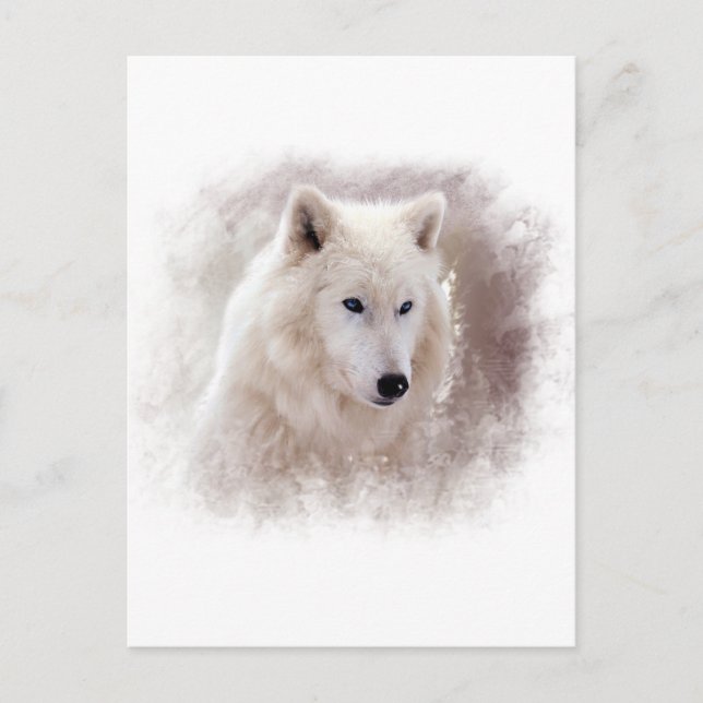 WEISSE SIBERISCHE HUSKY. POSTKARTE (Vorderseite)