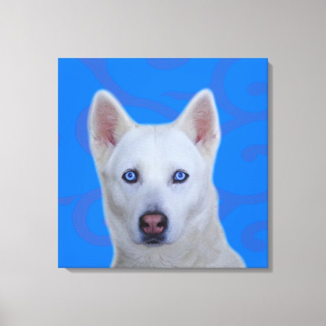 Weiße sibirische Husky-Wrapped Canvas Leinwanddruck (Vorderseite)