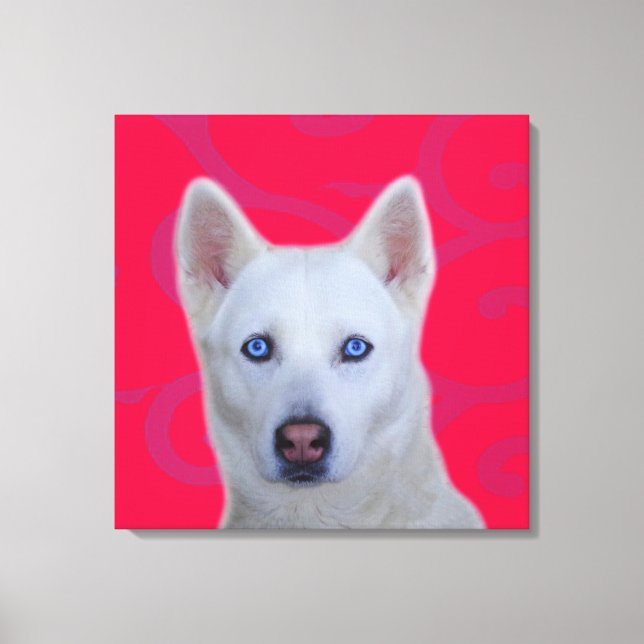 Weiße sibirische Husky-Wrapped Canvas Leinwanddruck (Vorderseite)