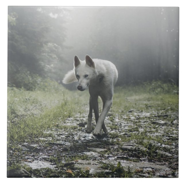 Weiße sibirische Keramik Tile Fliese (Vorderseite)