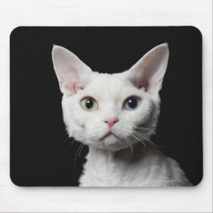 Weiße sonderbar-mit Augen Katze Mousepad