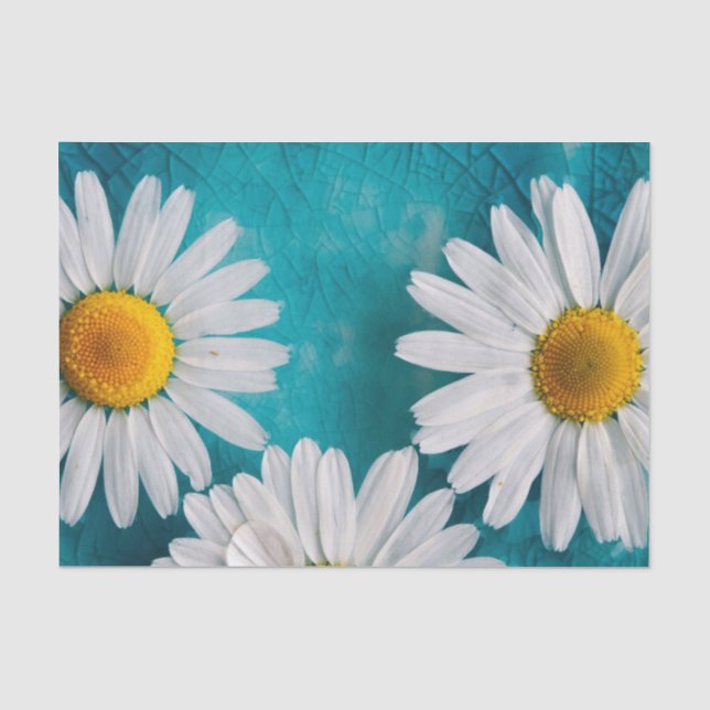Weiße Sonnenblumen auf türkisfarbenem Tissue Seidenpapier (Vorderseite)