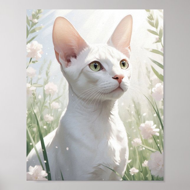 Weiße Sphinx-Katze und Blumen Poster (Vorne)