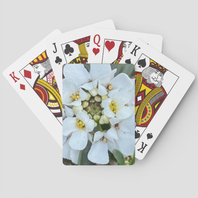 weiße Spielkarten mit Blumen (Rückseite)