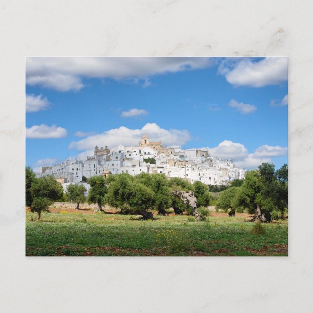 Weiße Stadt Ostuni und Olivenbäume, Apulien Postka Postkarte (Vorderseite)