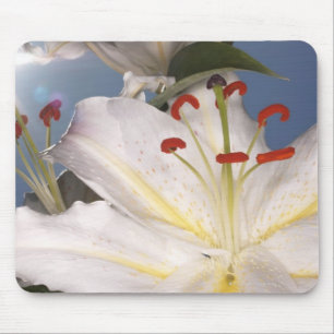 Weiße Stargazerlilien (Lilium orientalis), Mousepad