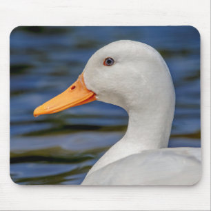 Weiße Stockenten-Ente Mousepad