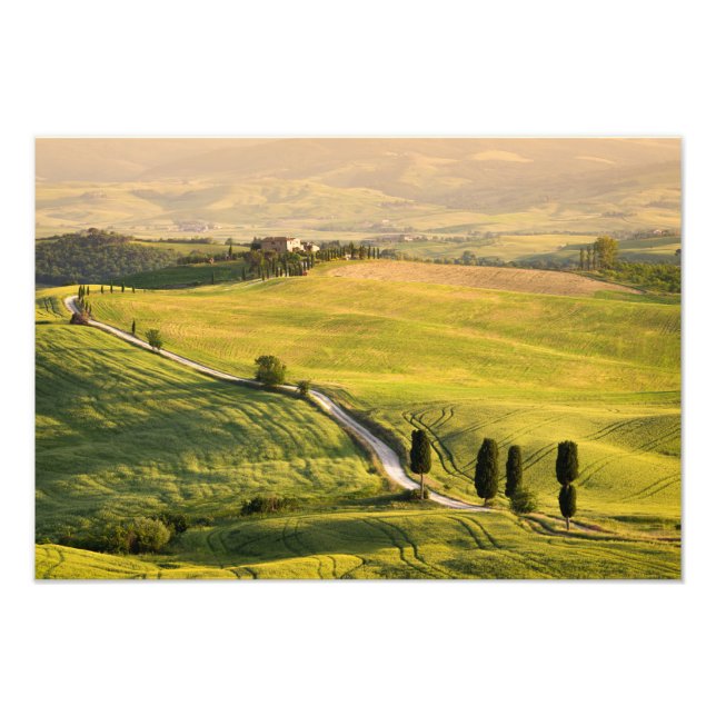 Weiße Straße im Landschaftsbild der Toskana Foto d (Vorne)