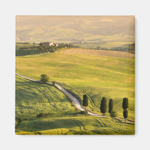 Weiße Straße mit Landschaftsmagnet in der Toskana Magnet