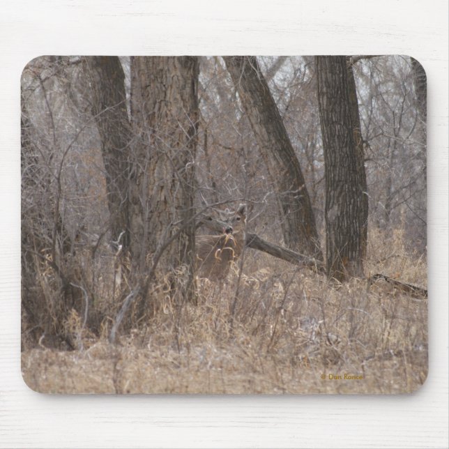 Weiße-taileded Rotwild D1 in Cottowood Bäumen Mousepad (Vorne)