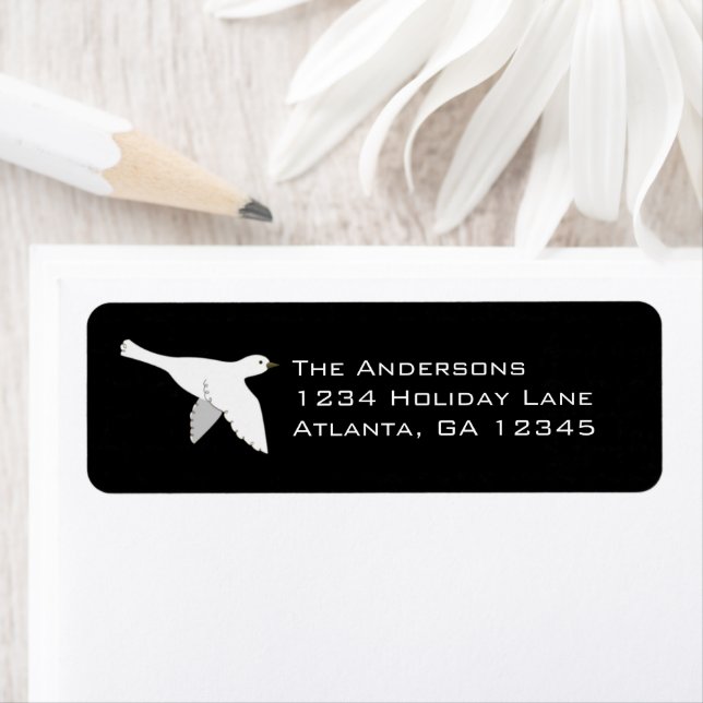 Weiße Taube auf weihnachtlich bewaldeten Grönlande (Insitu)