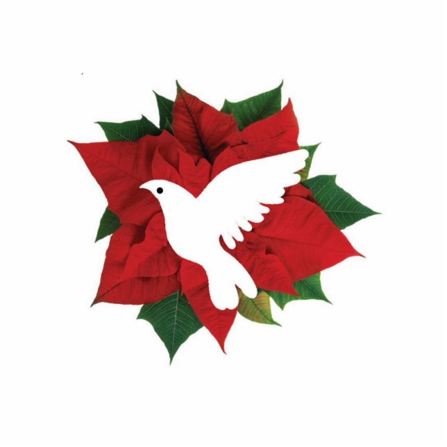 Weiße Taube und Poinsettia Fotoskulptur Ornament (Vorne)