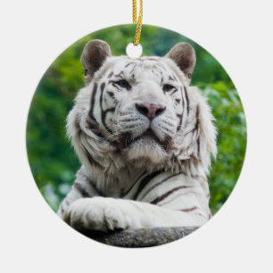 Weiße Tiger Keramik Ornament