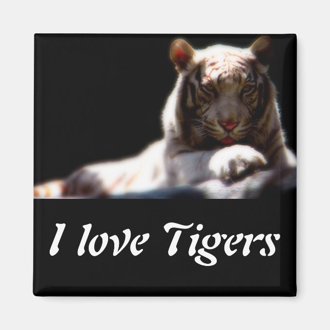 Weiße-Tiger-Kühlschrankmagnet Magnet (Vorne)