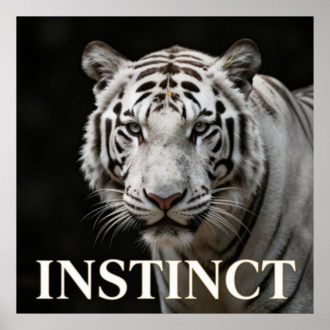Weiße Tiger Luxusmode Poster (Vorne)