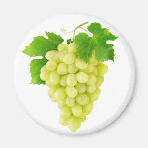 Weiße Traube Magnet
