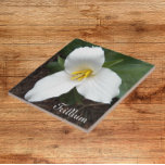 Weiße Trillium-Blume Fliese<br><div class="desc">Denken Sie an den Frühling mit diesem quadratischen, Keramik-Kachel, das das Foto-Bild einer weißen Trillium-Blume zeigt, eine Waldland-Pflanze. Ein schönes, blumengeschmücktes Design! Macht eine hübsche Küche trivet! Wählen Sie Ihre Kachelgröße aus.</div>