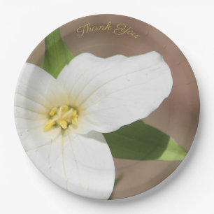 Weiße Trillium-Blume Große Papierplatte Pappteller