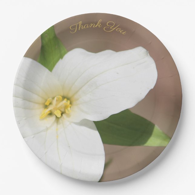 Weiße Trillium-Blume Große Papierplatte Pappteller (Vorderseite)