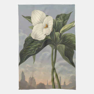Weiße Trillium-Blume im Stil des Temple of Flora Geschirrtuch