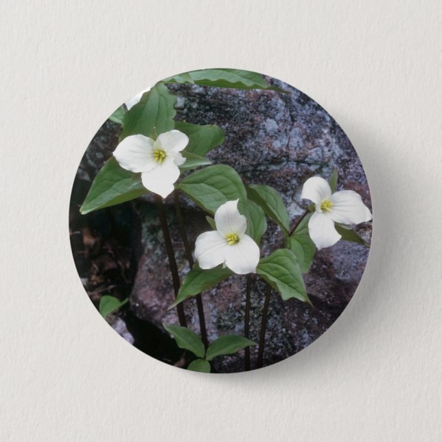 weiße Trillium-Blumen Button (Vorderseite)