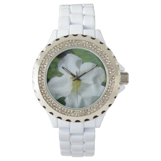 Weiße tropische Blume auf Fidschi Armbanduhr (Vorderseite)