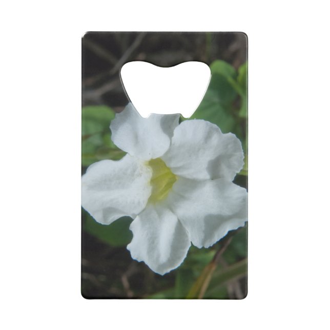 Weiße tropische Blume auf Fidschi Geldbeutel Flaschenöffner (Vorderseite)