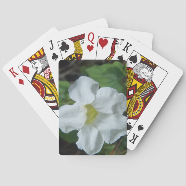Weiße tropische Blume auf Fidschi Spielkarten (Rückseite)