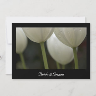 Weiße Tulips - Heirat / Elopement Ankündigung