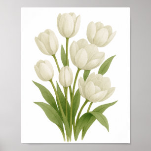 Weiße Tulpen Aquarelldruck Frühlingswanddekoration Poster