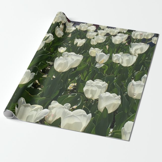 Weiße Tulpen für eine empfindliche Blume Geschenkpapier (Ungerollt)