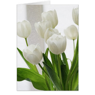 Weiße Tulpen - KunstdB