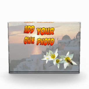Weiße Tulpen mit Bienenblock Fotoblock
