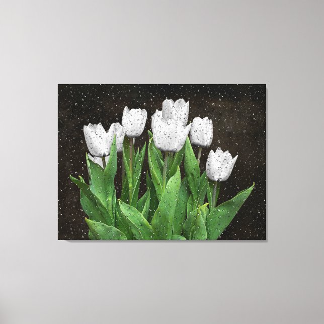 Weiße Tulpen mit Raindrops auf Glas Leinwanddruck (Vorderseite)
