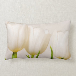 Weiße Tulpen mit weißem Hintergrund, Lendenkissen