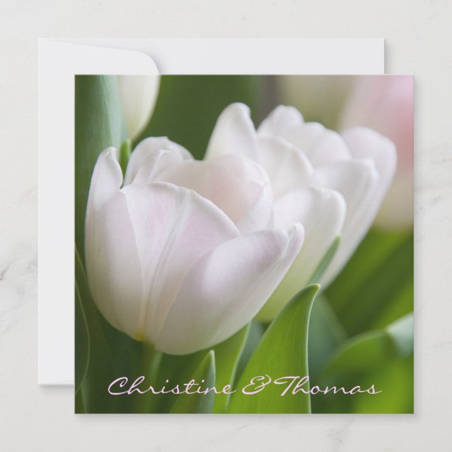 Weiße Tulpen • Save-the-Date-Postkarte Save The Date (Vorderseite)