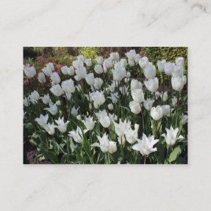 Weiße Tulpen Visitenkarte