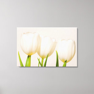 Weiße Tulpen vor weißem Hintergrund, Leinwanddruck