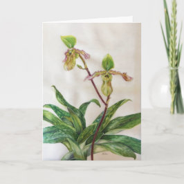 Weiße Umschläge der Orchideen (5" x 7") schließen Karte