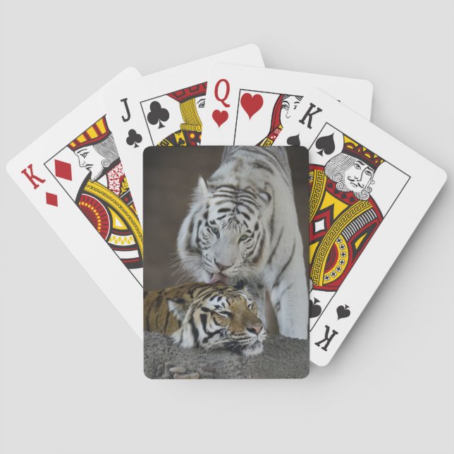 Weiße und braune Tiger Spielkarten (Rückseite)