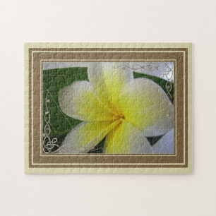 Weiße und gelbe Frangipani-Blume