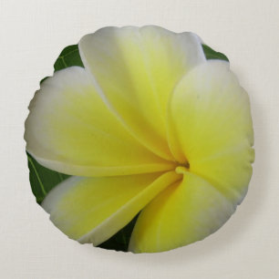 Weiße und gelbe Frangipani-Blume Rundes Kissen
