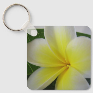 Weiße und gelbe Frangipani Schlüsselanhänger