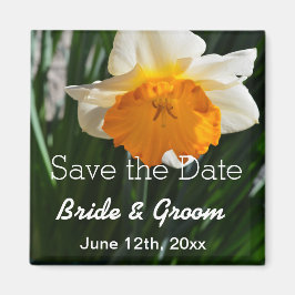 Weiße und gelbe Narzelle Save the Date-Blume Magnet